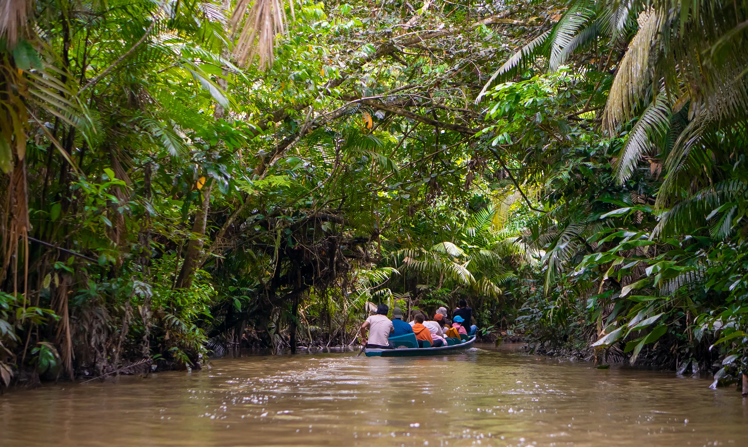 Ecuador Amazon Rainforest
