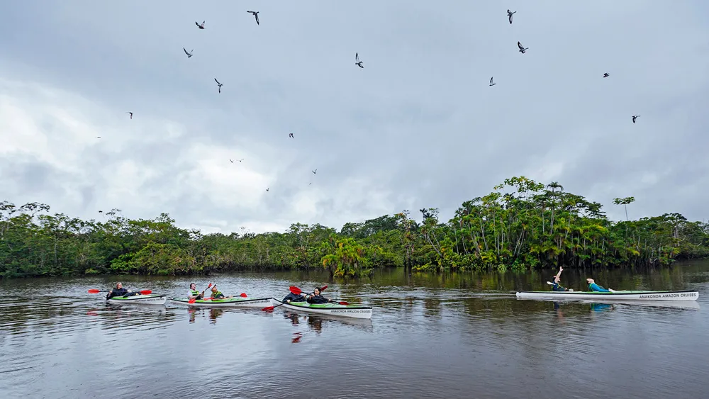 Anakonda Amazon River Cruise Activities