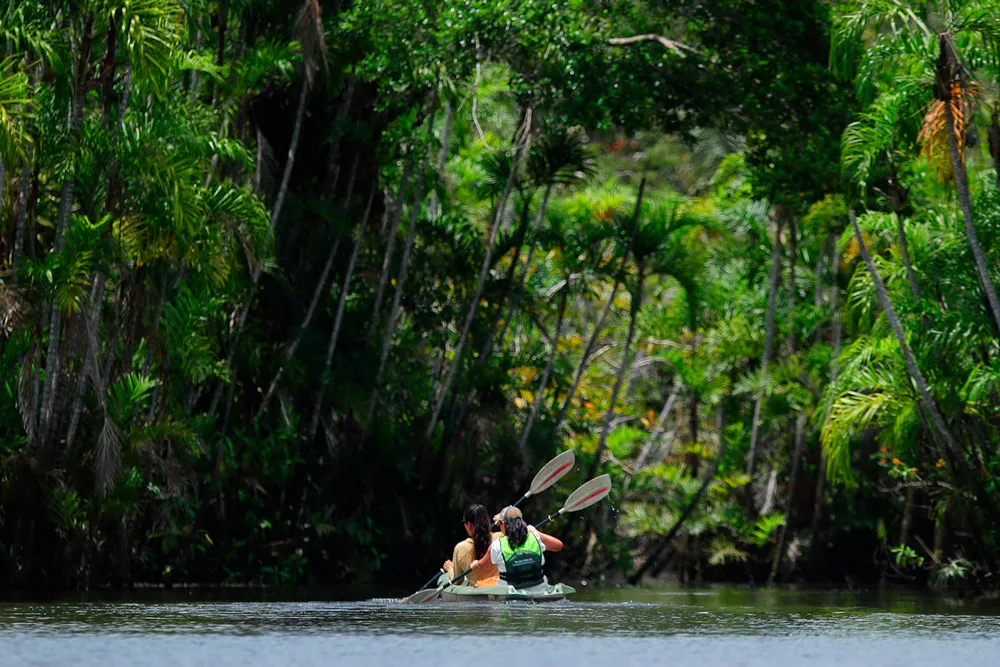 Anakonda Amazon River Cruise Activities