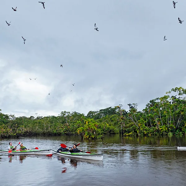 Anakonda Amazon Cruise 4-Day Itinerary