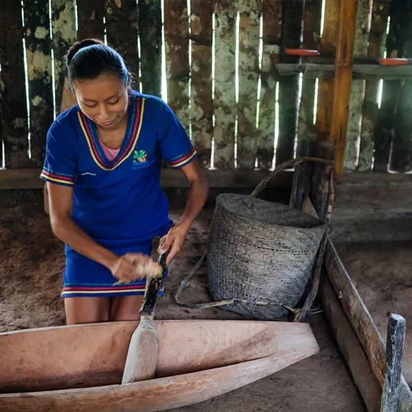 Anakonda Amazon Cruise 4-Day Itinerary