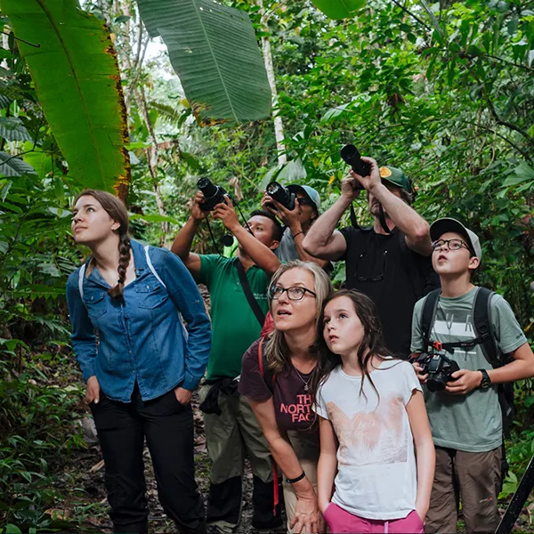 Anakonda Amazon Cruise 5-Day Itinerary