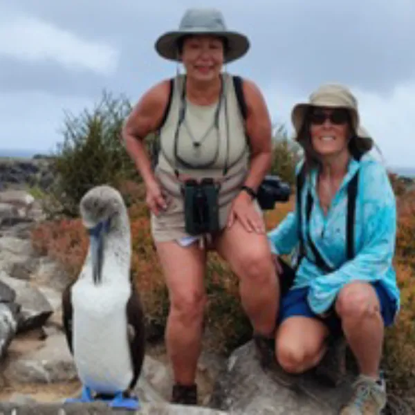 Birding Galapagos Island Hopping Day 2