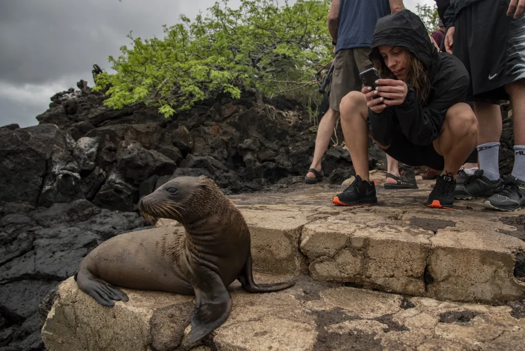 Bonita Galapagos Yacht Activities