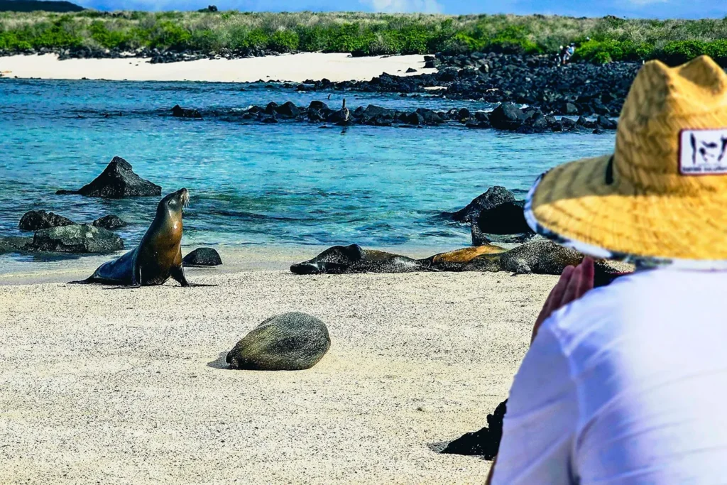 Cachalote Galapagos Yacht Activities