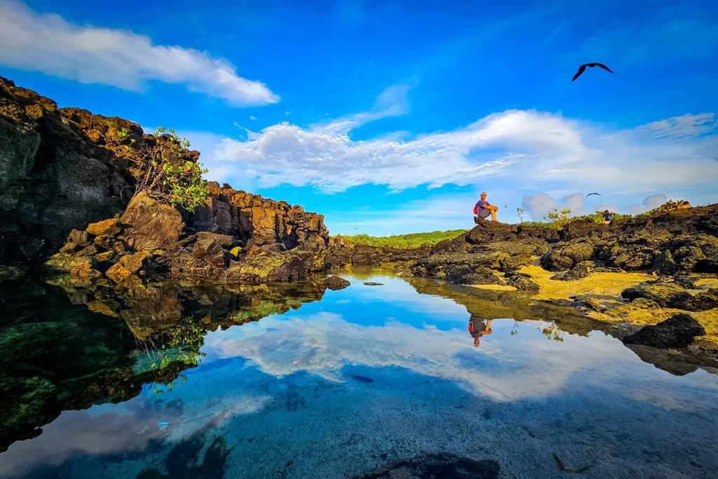 Cachalote Galapagos Yacht Activities