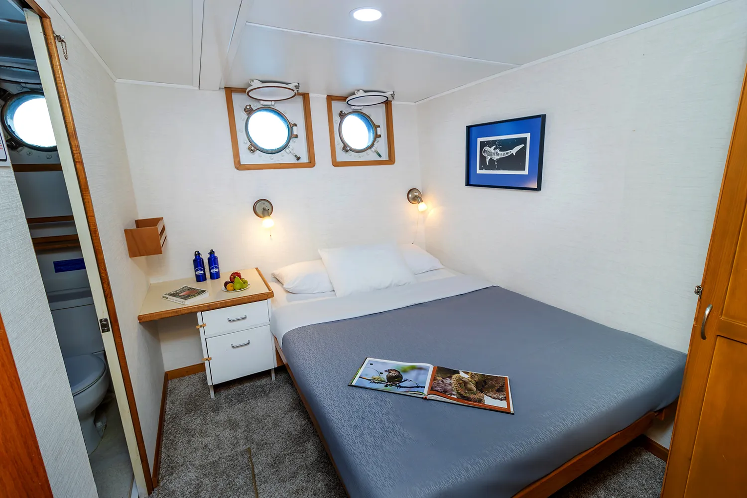 Cachalote cabin