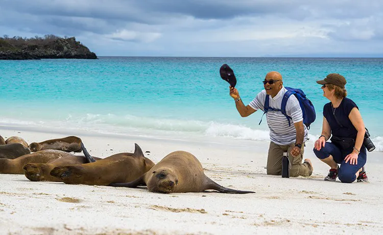 Calipso Galapagos Yacht Activities