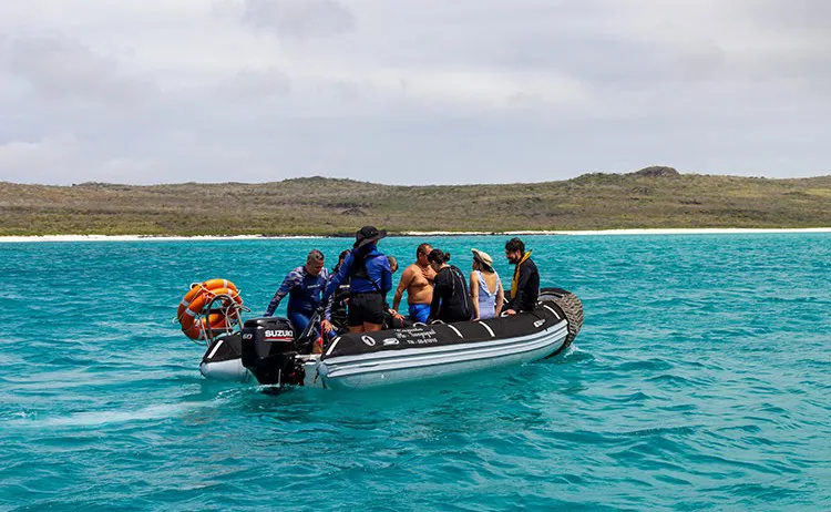 Calipso Galapagos Yacht Activities