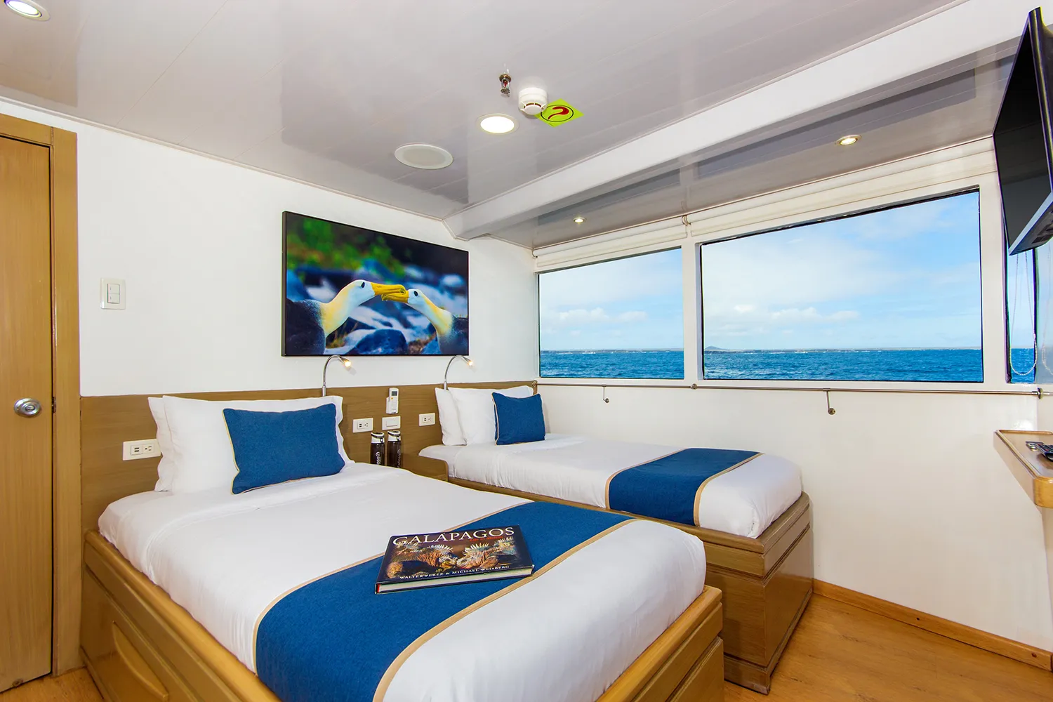 M/Y Calipso cabin
