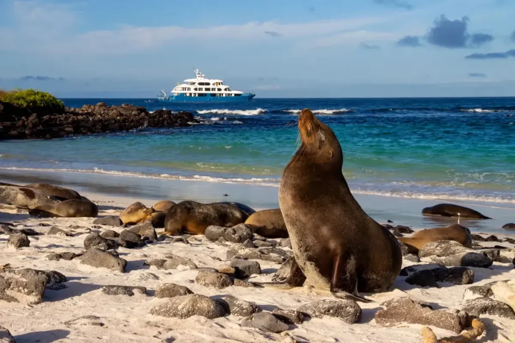 Cormorant II Galapagos Yacht Activities