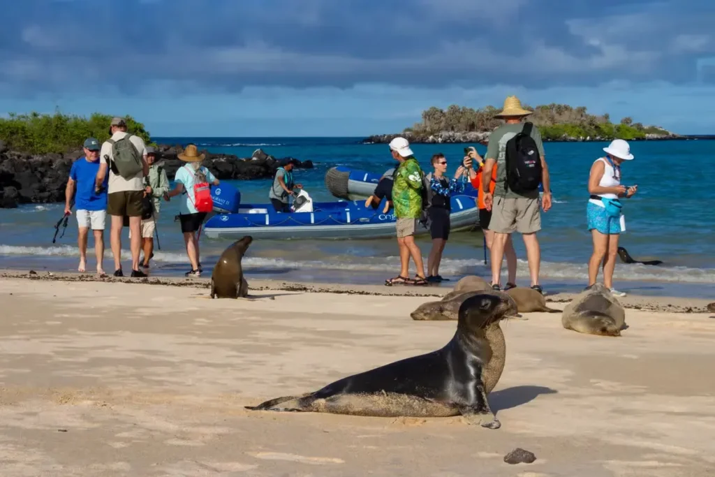 Cormorant II Galapagos Yacht Activities