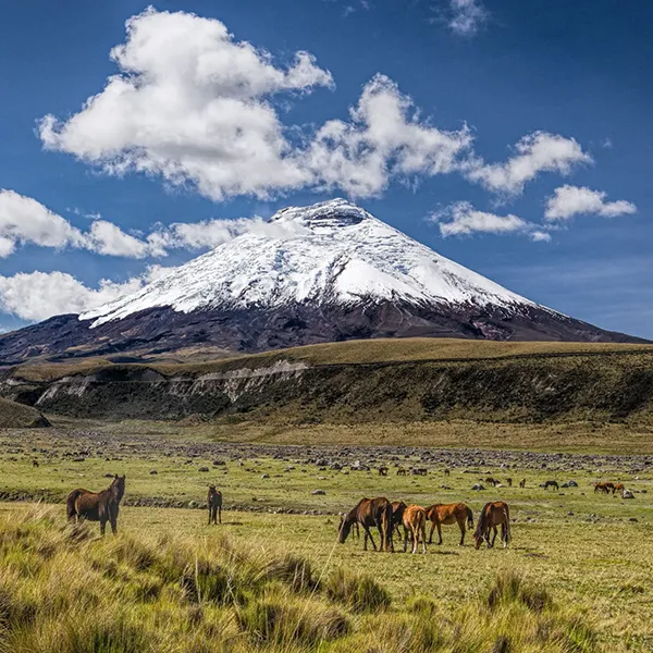 Discovering Andes Tour Day 4 Ecuador