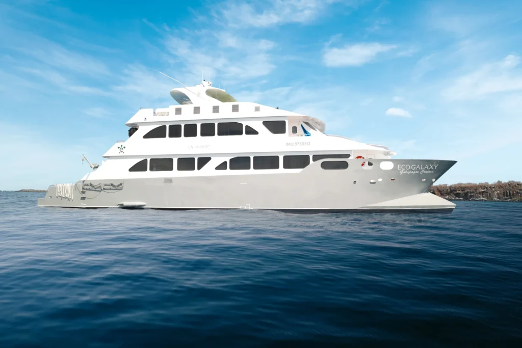 First Class environmentally friendly Catamaran