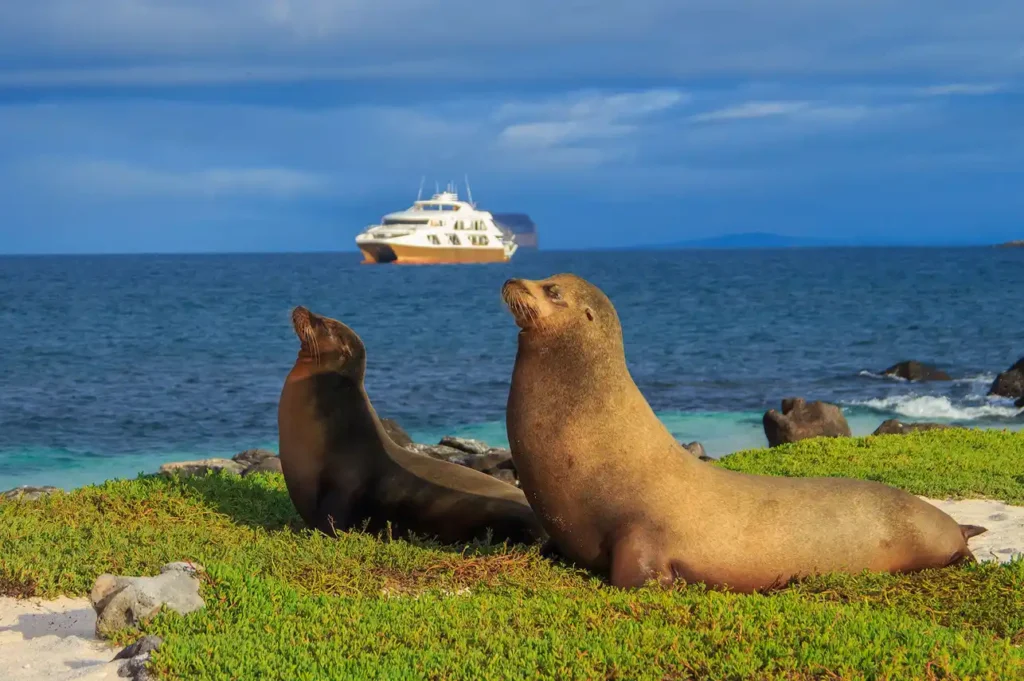 Elite Galapagos Yacht Activities