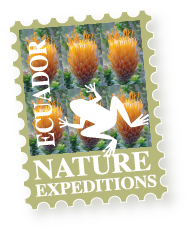 Ecuador Nature Expeditions