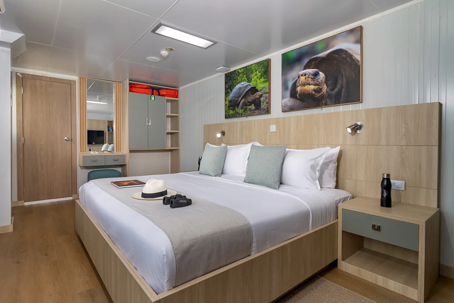 Galapagos Angel cabin