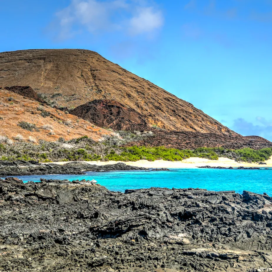 Galapagos Horizon Yacht Activities