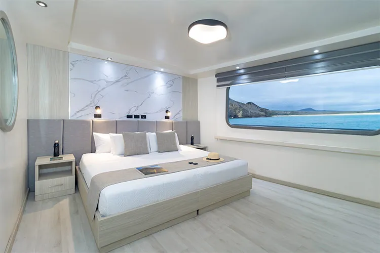 Galapagos Horizon cabin