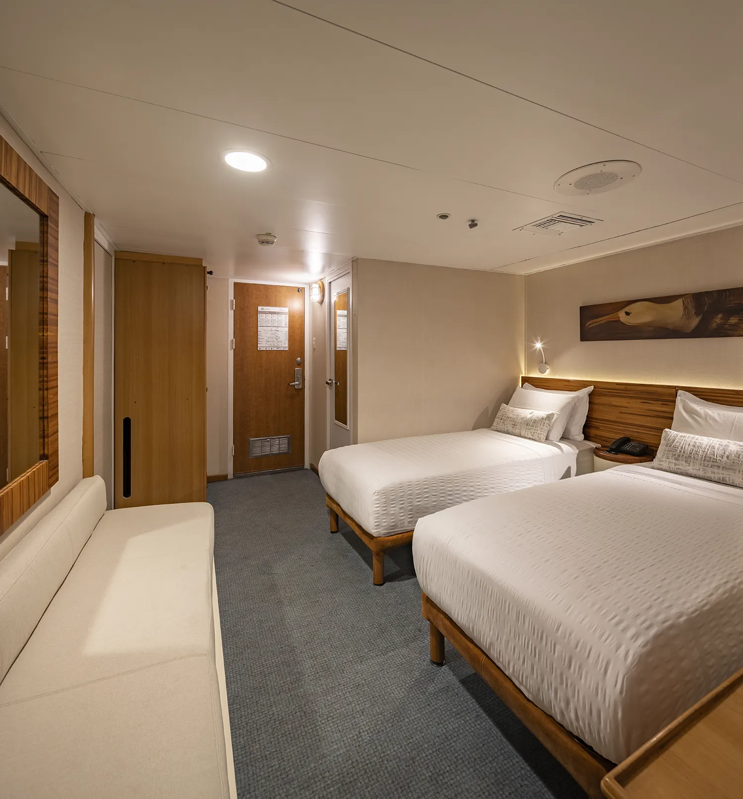 Galapagos Legend cabin