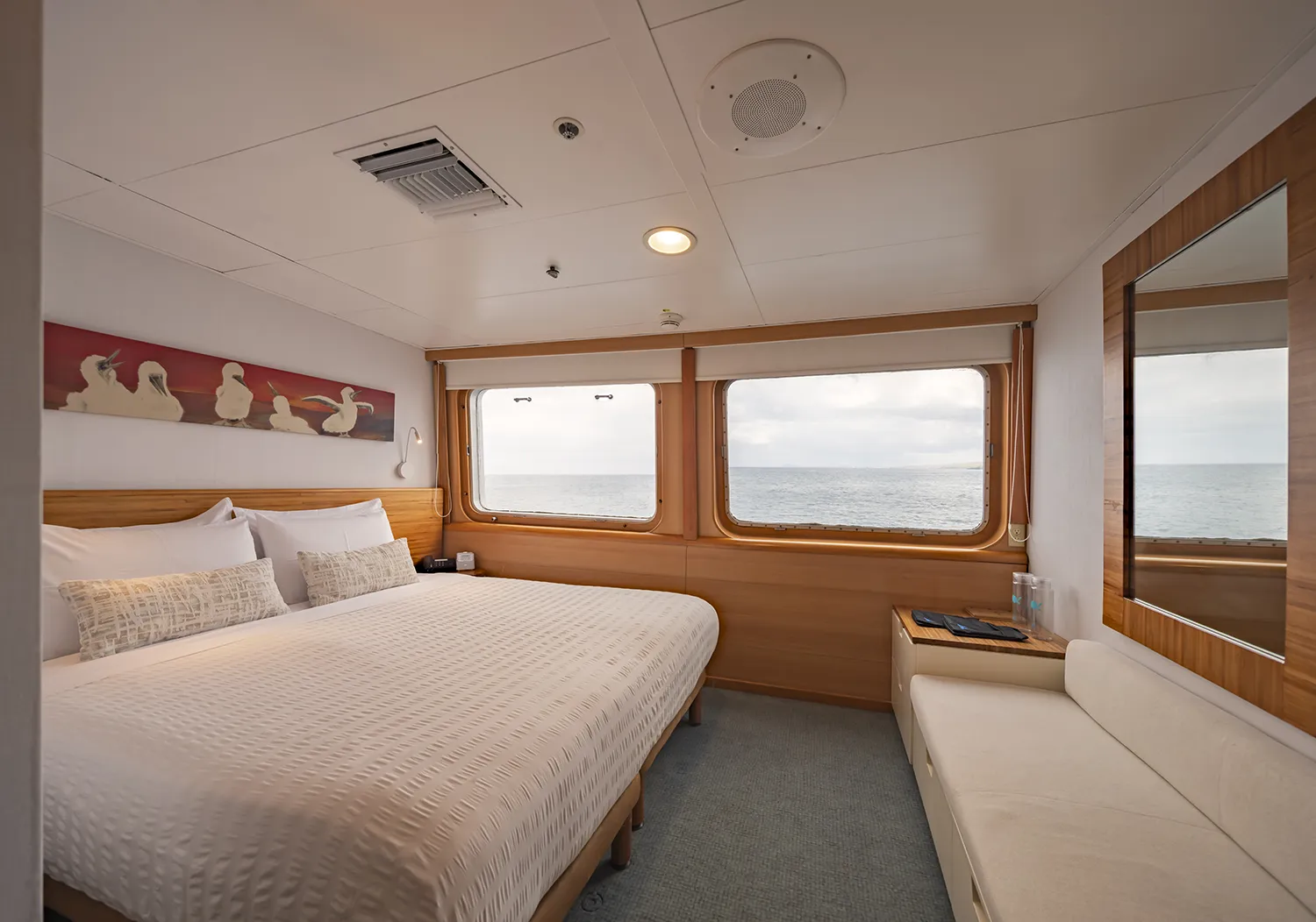 Galapagos Legend cabin