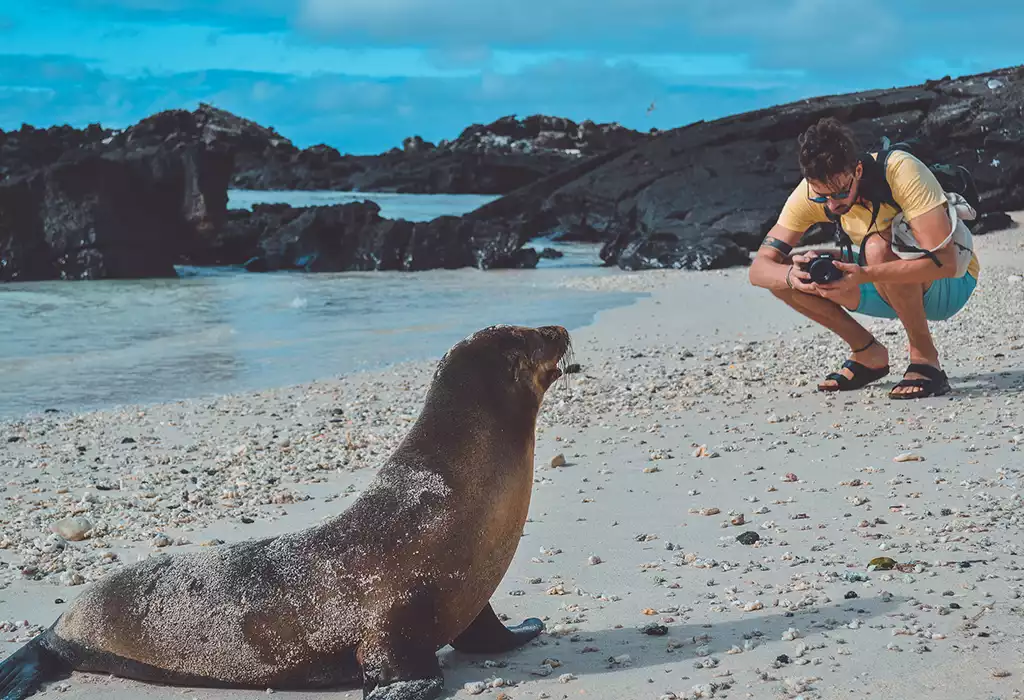 Anahi Catamaran Galapagos Activities