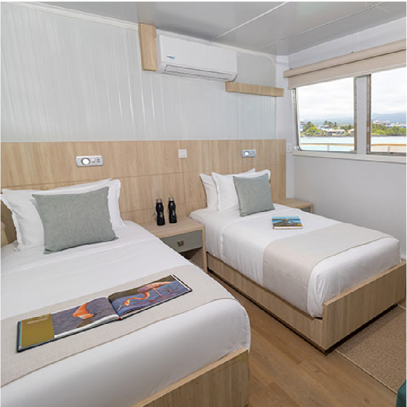 Galapagos Angel cabin