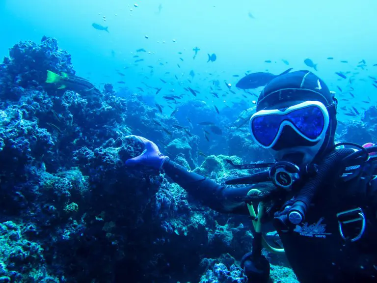 Aqua diving gallery 3