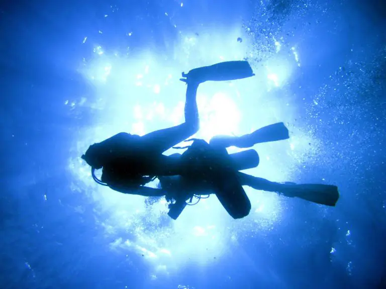 Aqua diving gallery
