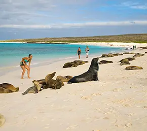 archipel-gardner_bay