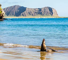 archipel-lobos_islet