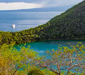 archipel-tagus_cove