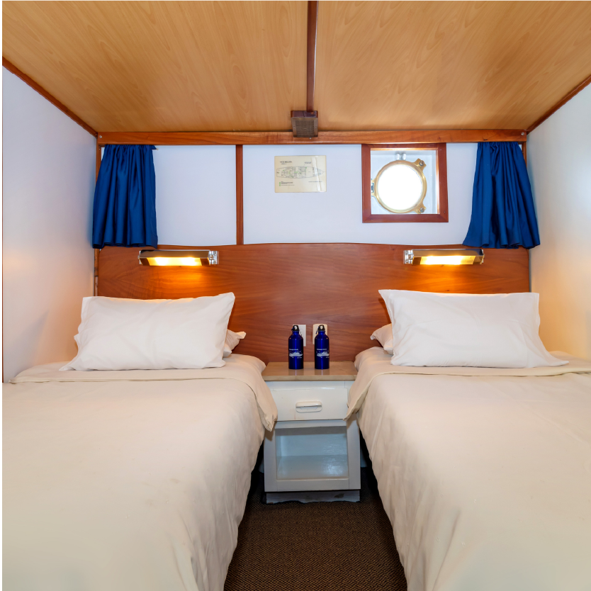 Beluga cabin