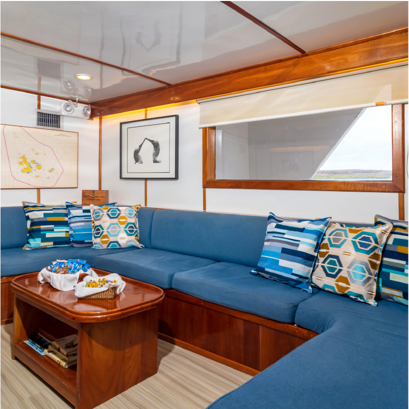 Beluga cabin