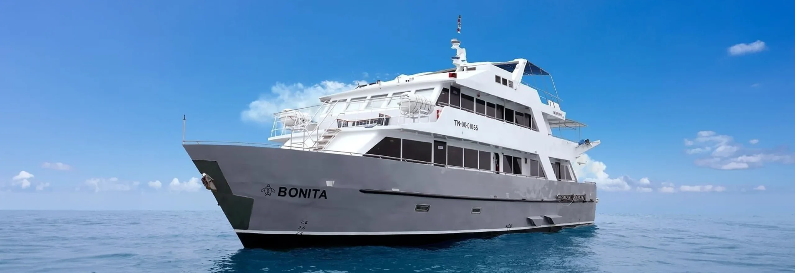 Hybrid boat