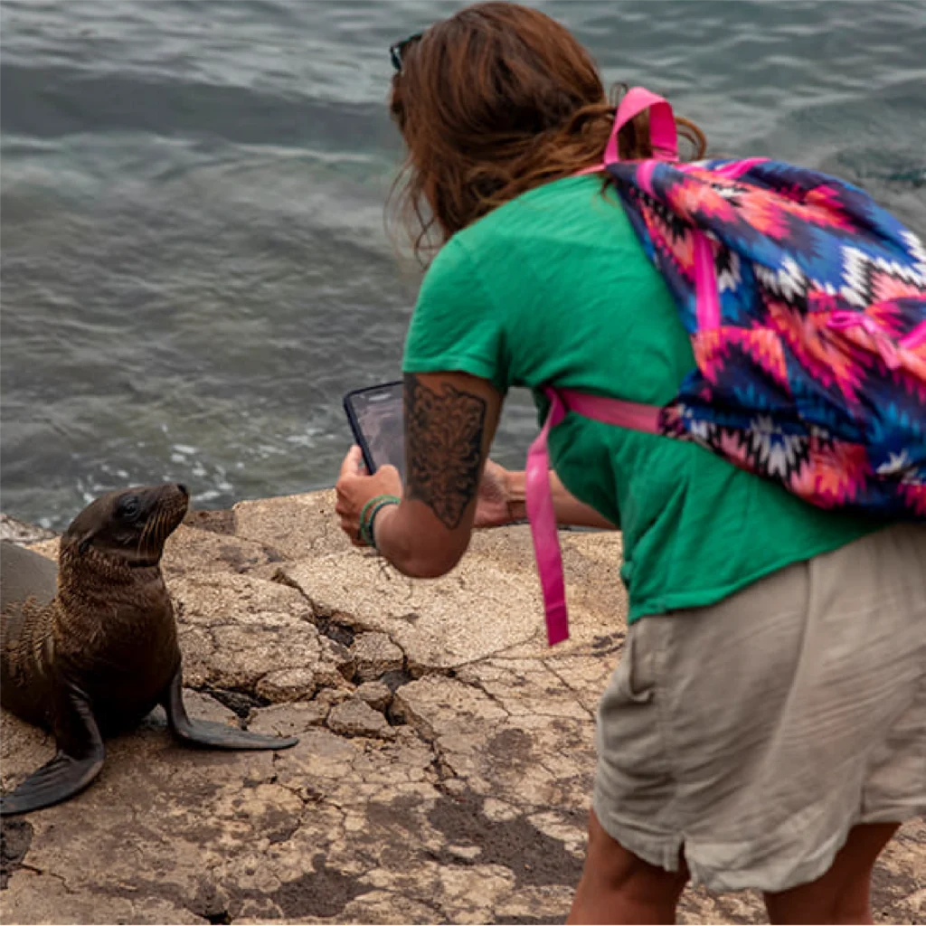 Sea Lion Galapagos Bonita Yacht
