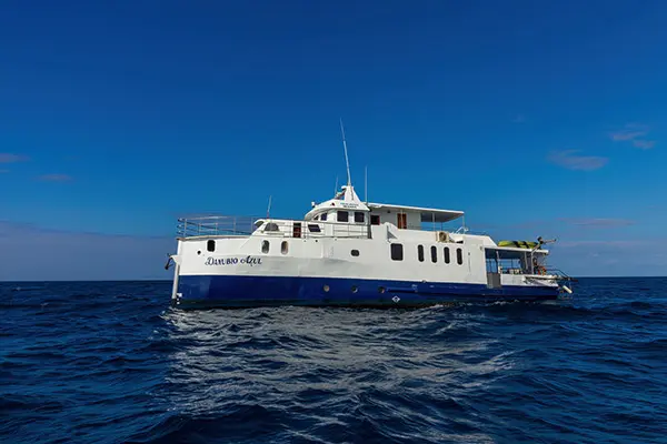 Danubio azul exterior 2