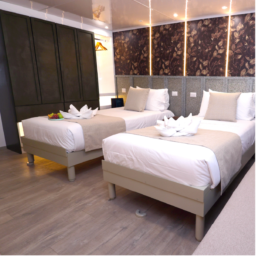 M/C EcoGalaxy Catamaran cabin