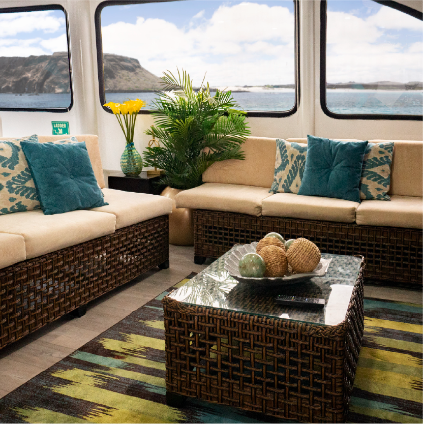 M/C EcoGalaxy Catamaran interior