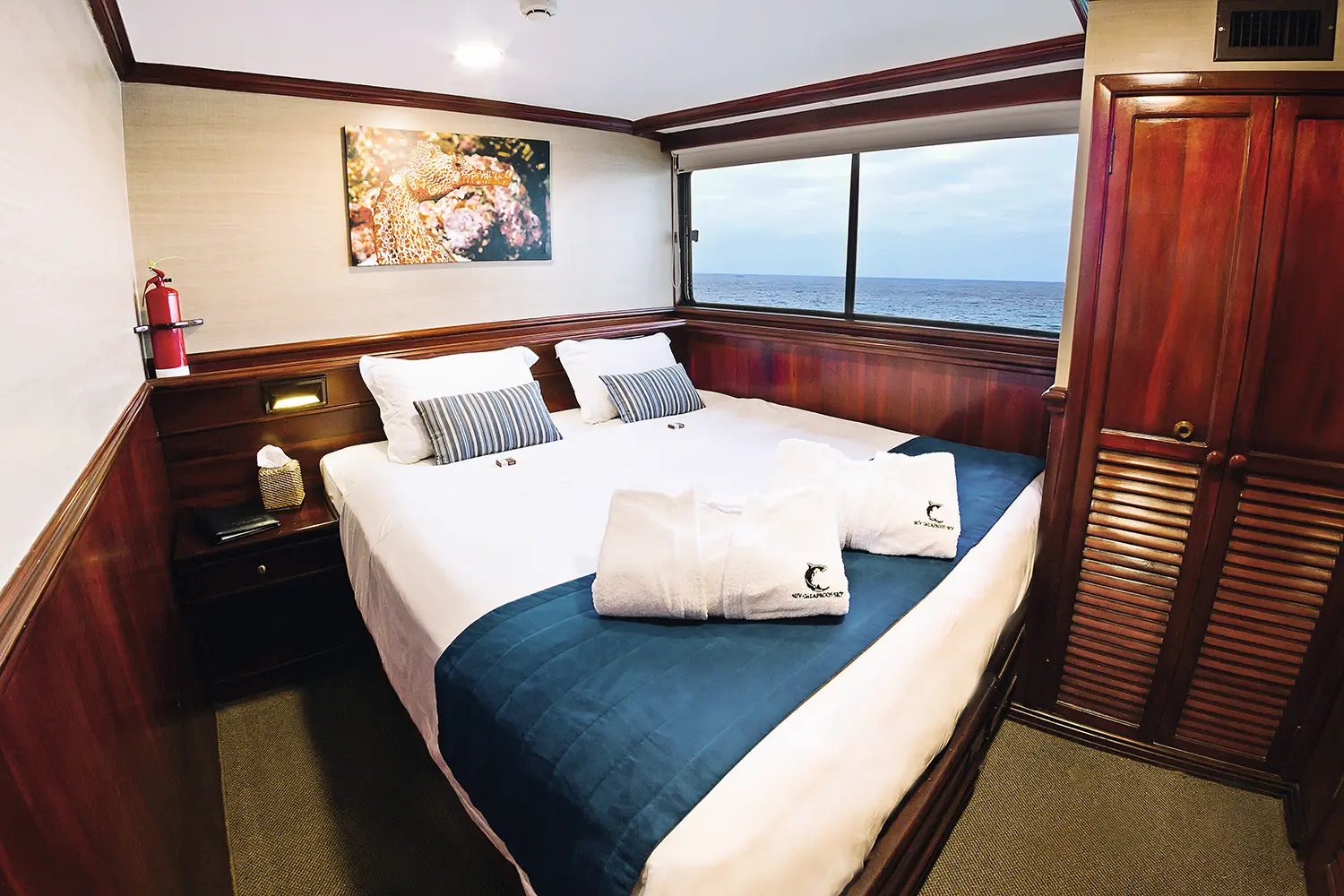 M/Y Galapagos Sky cabin