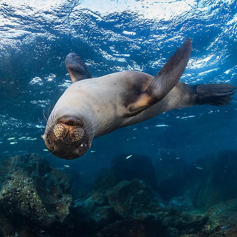 Galapagos sky itinerary a day 1