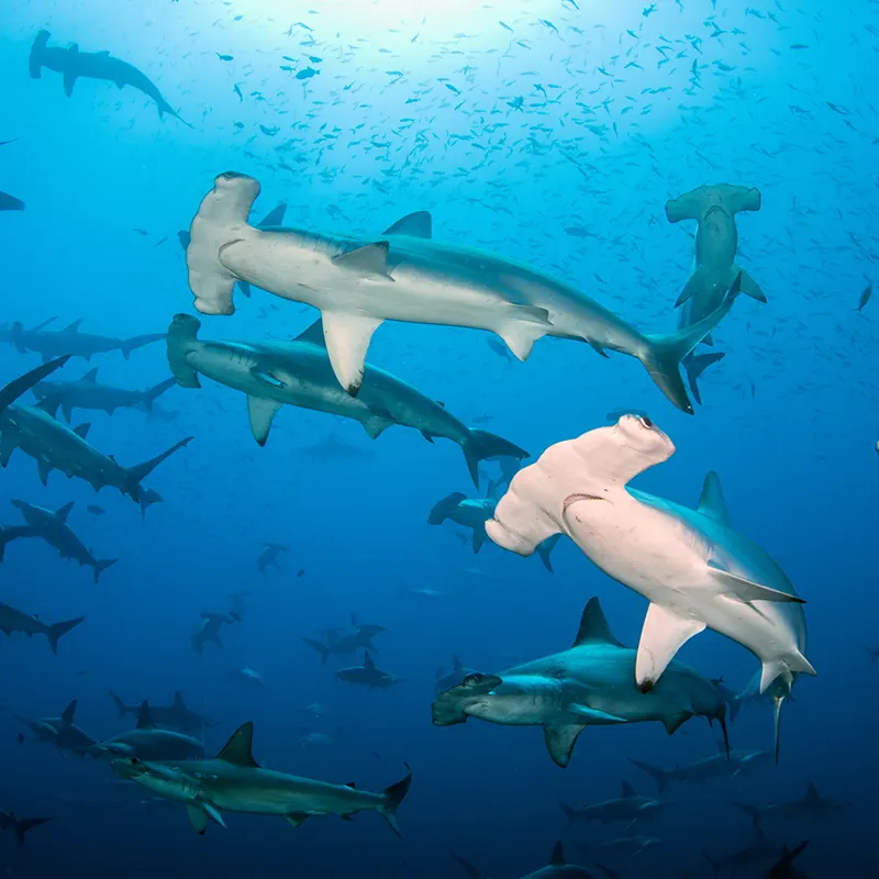 Galapagos sky itinerary a day 3