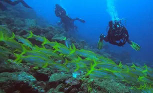 Galaxy diver 2 diving