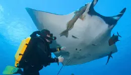 Galaxy diver 2 diving