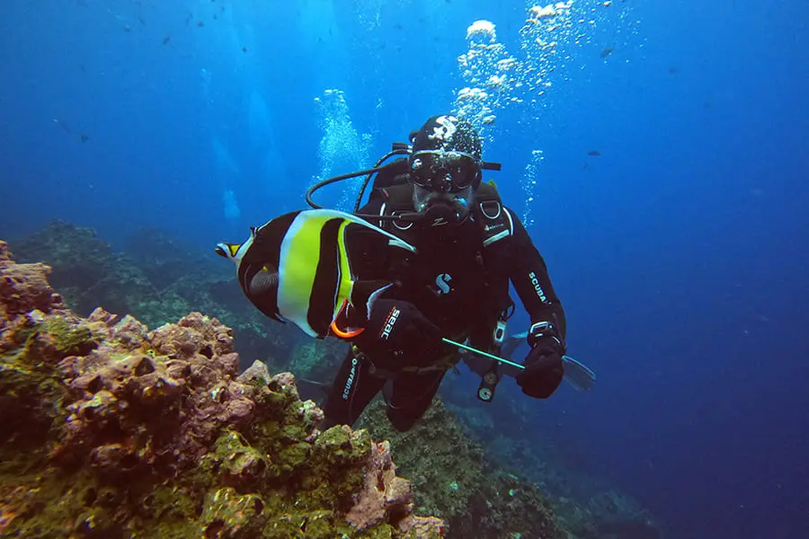 Galaxy diver 2 diving1