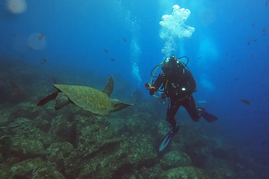 Galaxy diver 2 diving2
