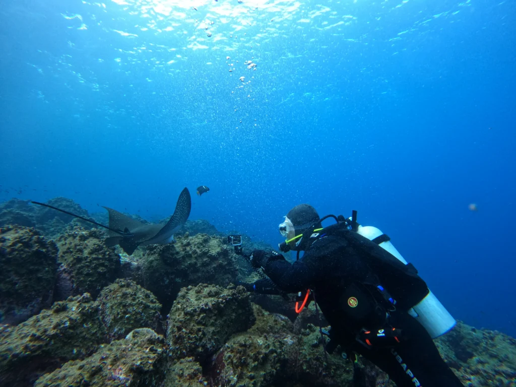 Galaxy diver 2 diving4