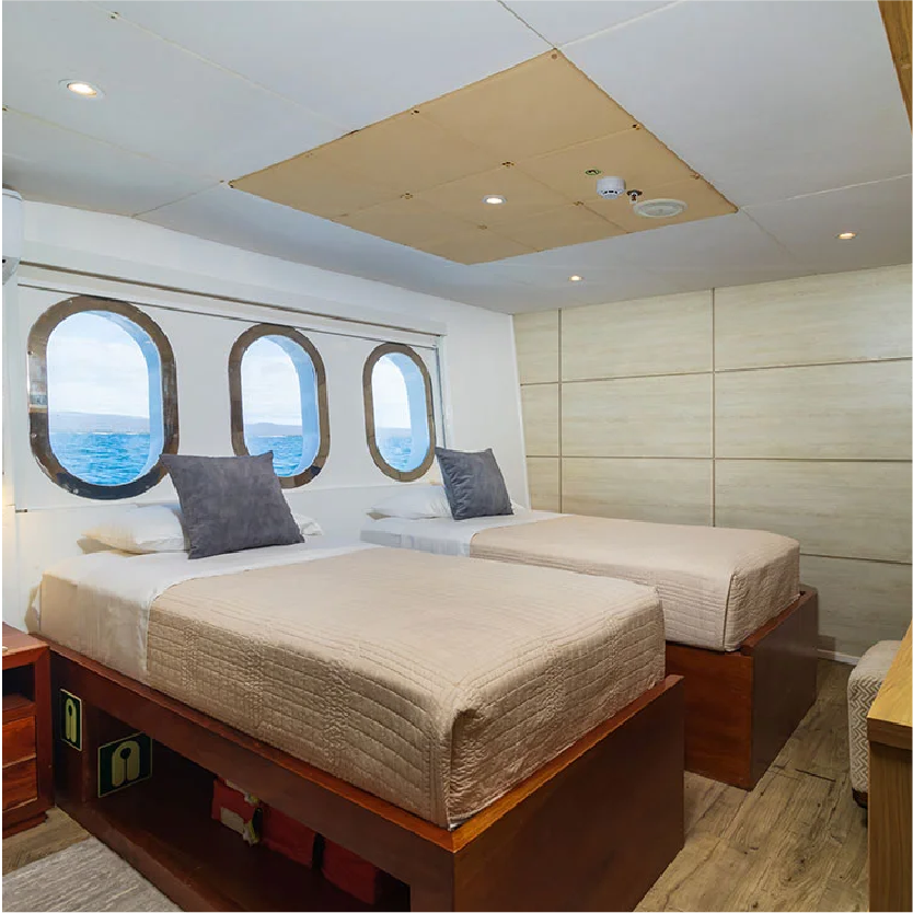 M/Y Grand Daphne cabin