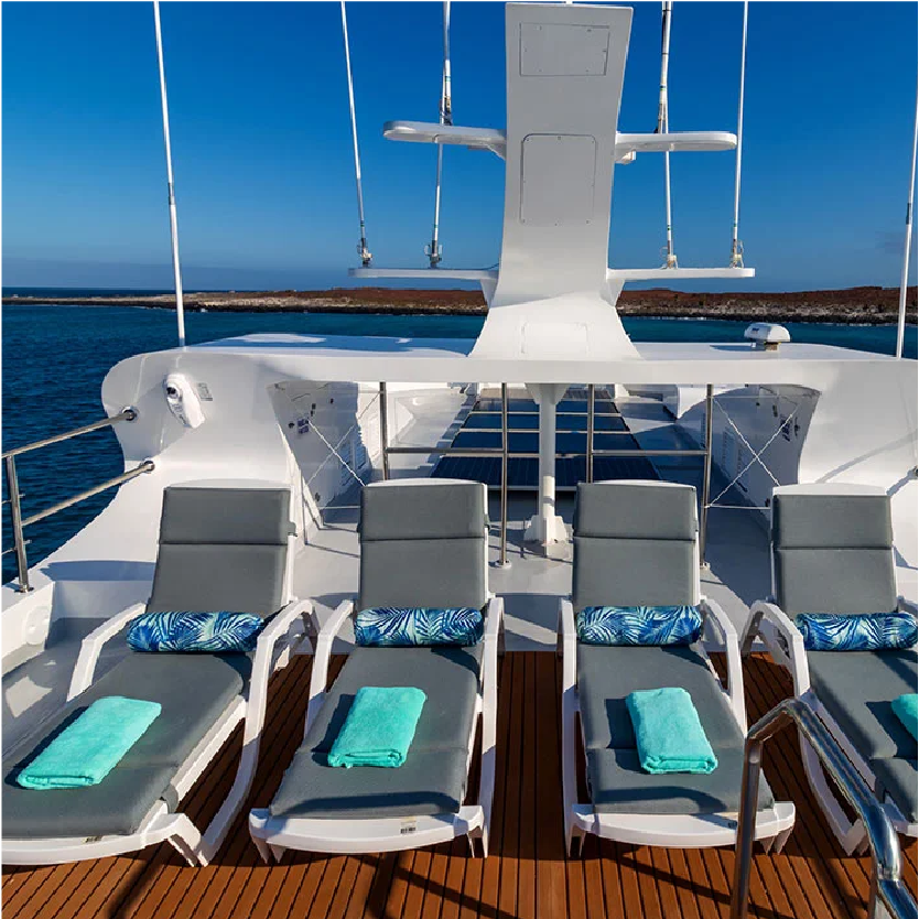 M/Y Grand Daphne deck