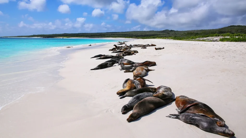 M/Y Grand Queen Beatriz Galapagos cruises